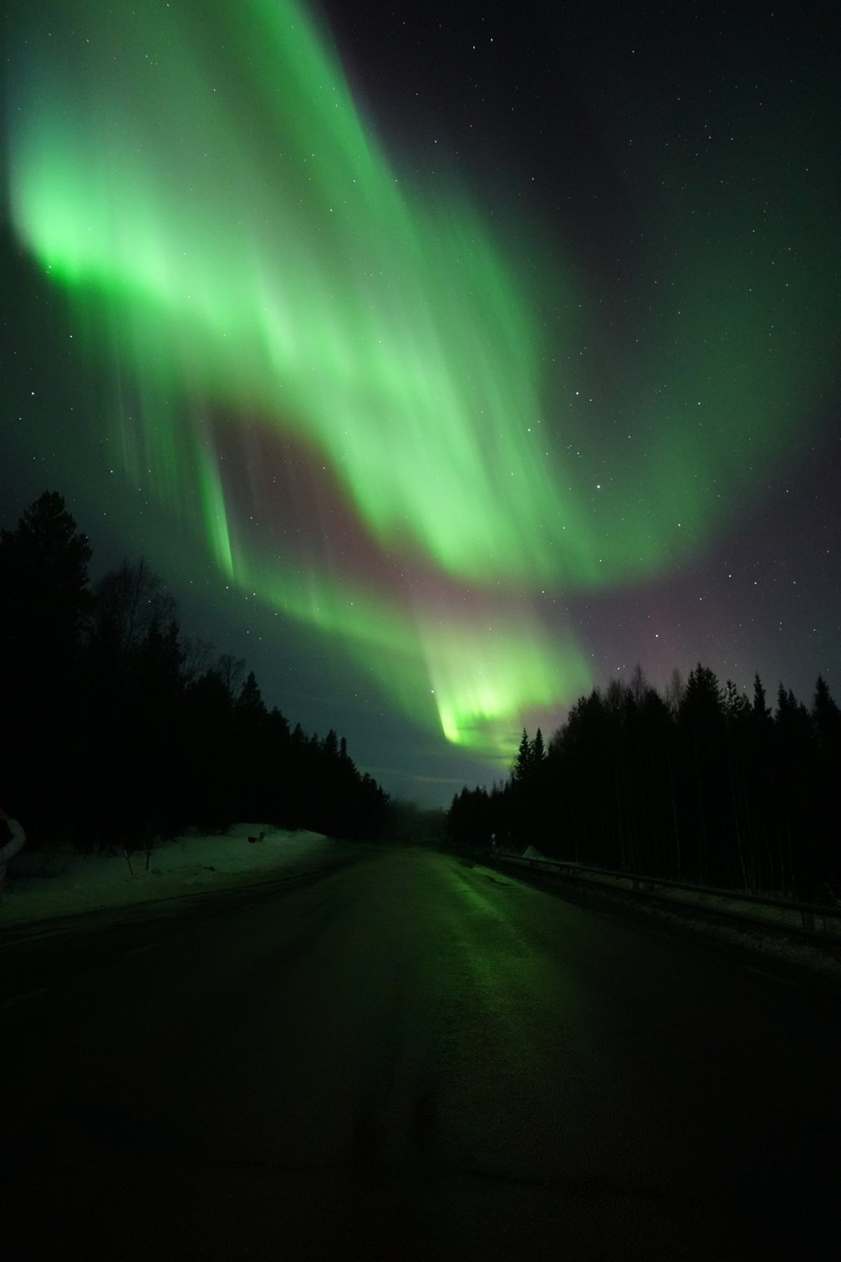 Green aurora above a snowy forest road in Sweden