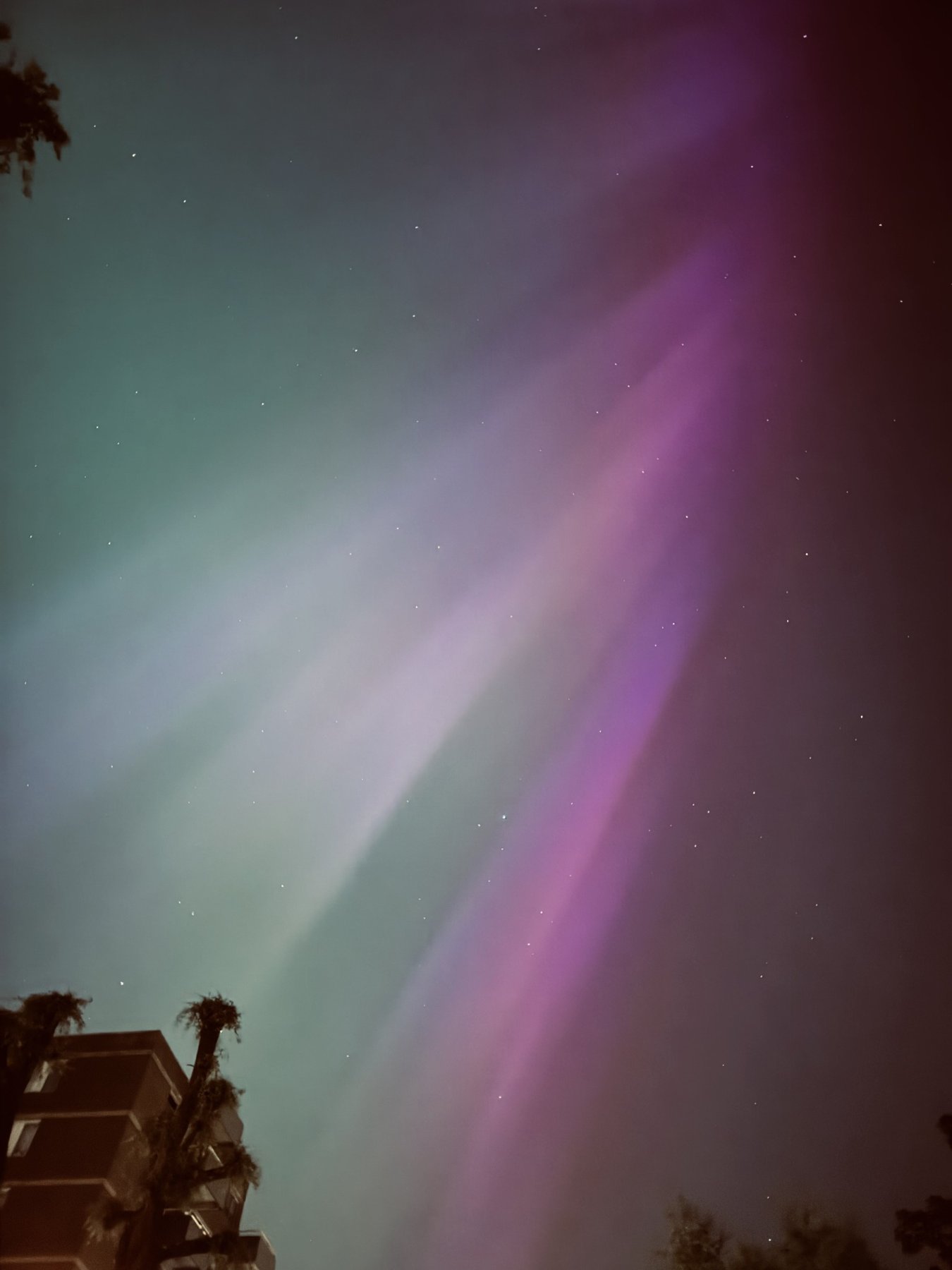 Purple and green aurora over Amsterdam on 10 May 2024