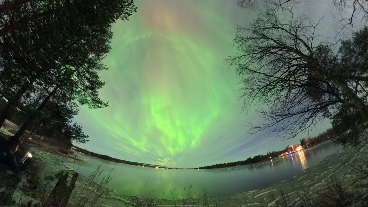 Aurora reflected over a lake framed by trees in Norway